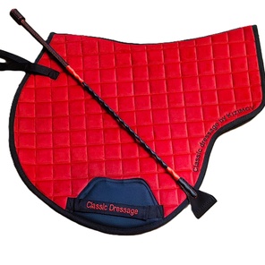 Конкурный хлыст